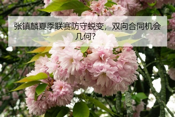 zhang-zhen-lin-xia-ji-lian-sai-fang-shou-tui-bian-shuang-xiang-he-tong-ji-hui-ji-he-3-701.jpg
