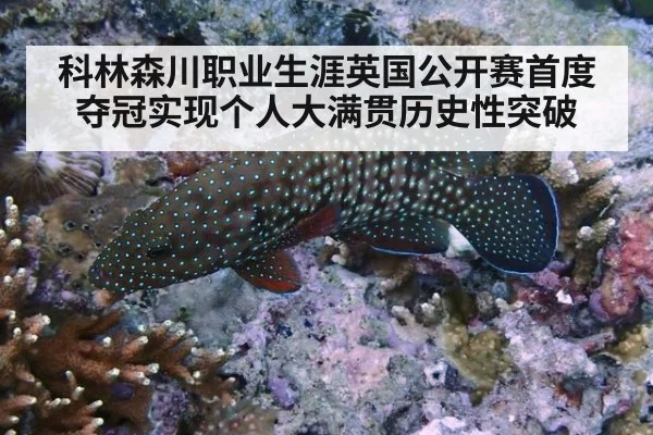 科林森川职业生涯英国公开赛首度夺冠实现个人大满贯历史性突破